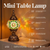 Mini Table Lamp DIY Kits